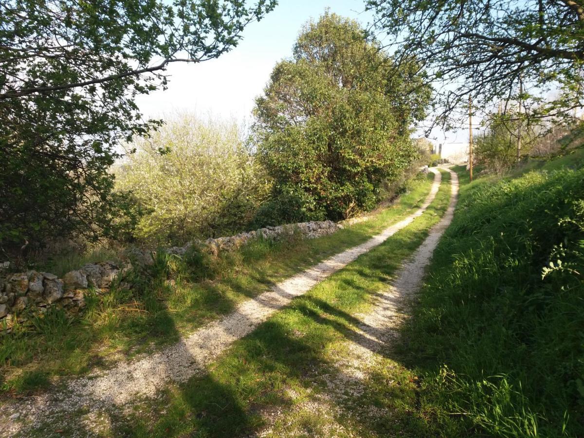 Trulli Di Puglia - Casa Vacanze In Valle D'Itria Martina Franca Eksteriør billede