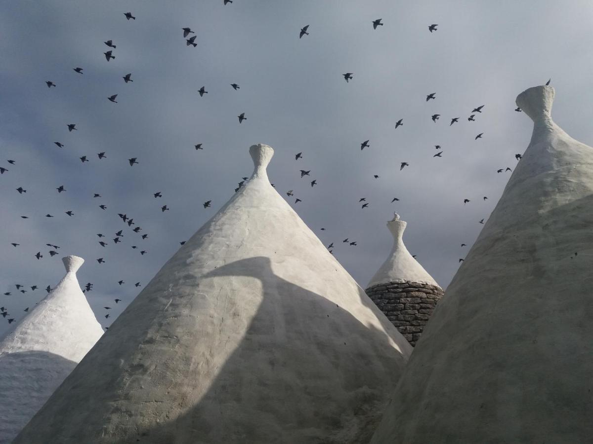 Trulli Di Puglia - Casa Vacanze In Valle D'Itria Martina Franca Eksteriør billede