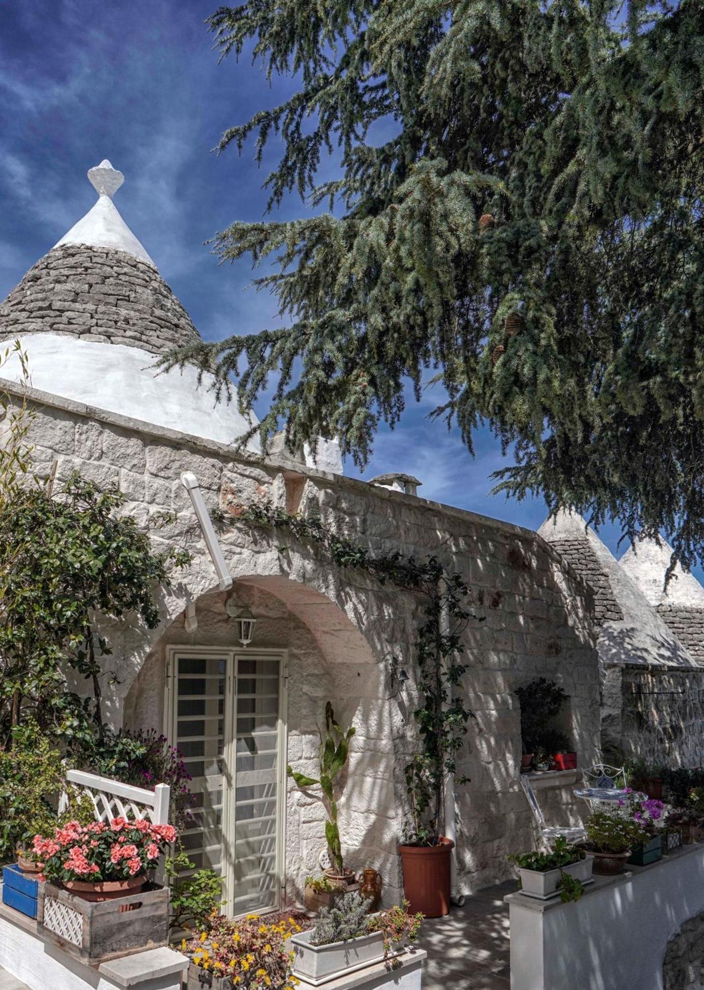 Trulli Di Puglia - Casa Vacanze In Valle D'Itria Martina Franca Eksteriør billede